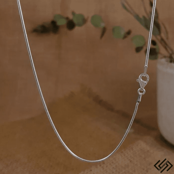 Round Snake Silver Chain