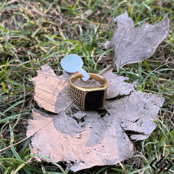 Vintage Gothic Golden Stainless Steel Black Onyx Ring